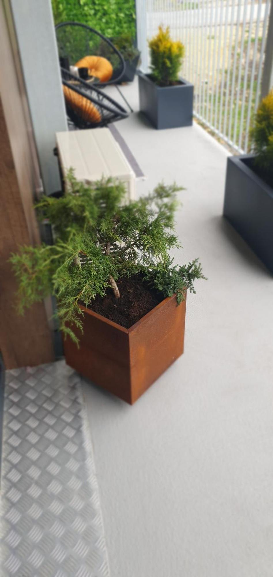 Apartamenty Studio 布斯克·兹德鲁伊 外观 照片